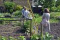 Allotments visitors